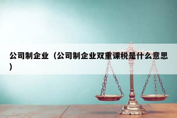 公司制企业（公司制企业双重课税是什么意思）