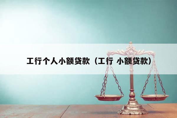 工行个人小额贷款（工行 小额贷款）