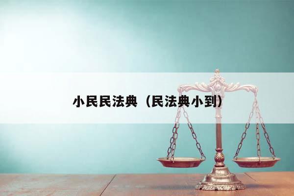 小民民法典（民法典小到）
