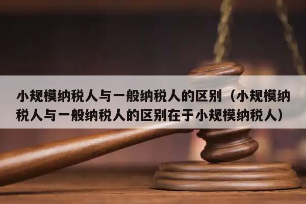 小规模纳税人与一般纳税人的区别（小规模纳税人与一般纳税人的区别在于小规模纳税人）