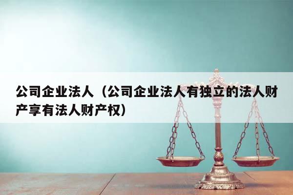 公司企业法人（公司企业法人有独立的法人财产享有法人财产权）