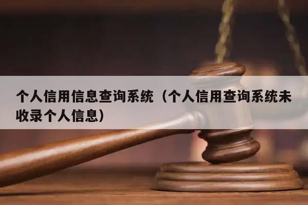个人信用信息查询系统（个人信用查询系统未收录个人信息）