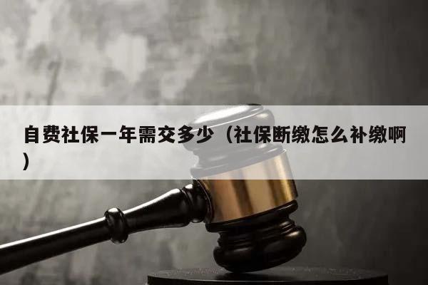 自费社保一年需交多少（社保断缴怎么补缴啊）