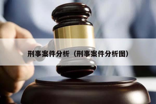 刑事案件分析（刑事案件分析图）