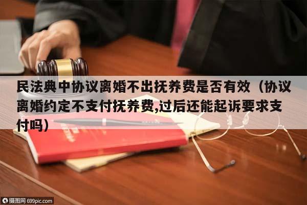 民法典中协议离婚不出抚养费是否有效（协议离婚约定不支付抚养费,过后还能起诉要求支付吗）