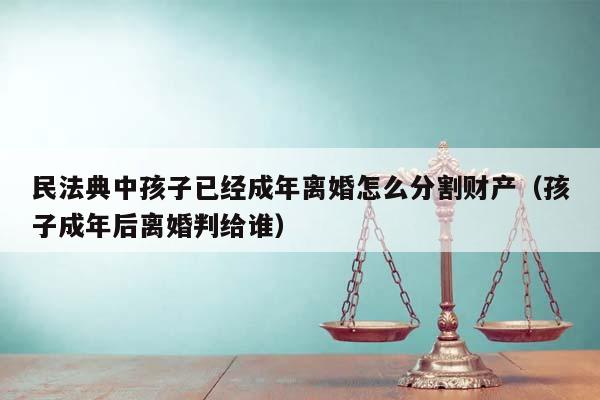 民法典中孩子已经成年离婚怎么分割财产（孩子成年后离婚判给谁）