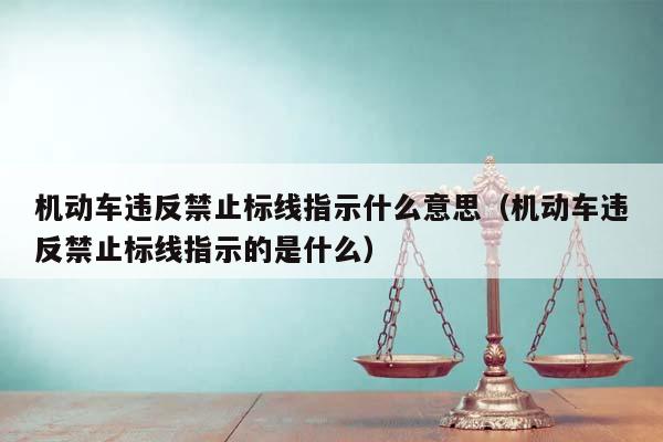 机动车违反禁止标线指示什么意思（机动车违反禁止标线指示的是什么）