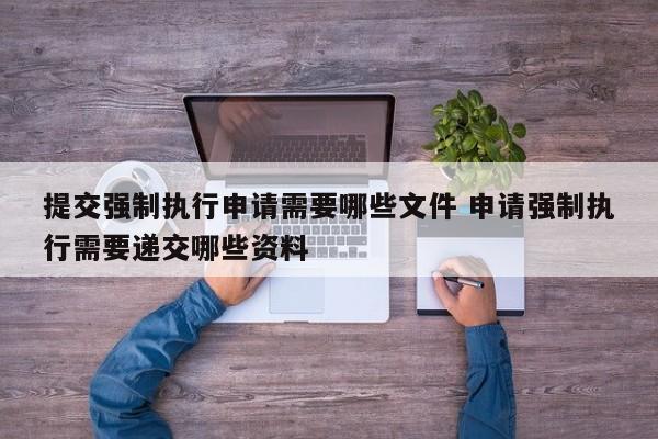 提交强制执行申请需要哪些文件 申请强制执行需要递交哪些资料