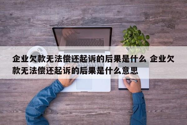 企业欠款无法偿还起诉的后果是什么 企业欠款无法偿还起诉的后果是什么意思