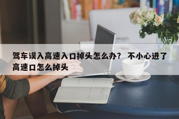 驾车误入高速入口掉头怎么办？ 不小心进了高速口怎么掉头