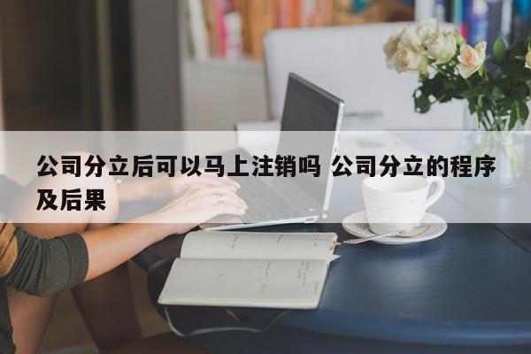 公司分立后可以马上注销吗 公司分立的程序及后果