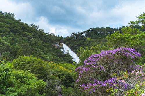 应该怎么正确认定爆炸罪