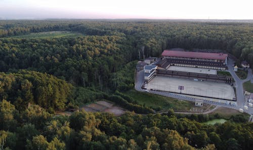 婚程序中的法庭听证和裁决