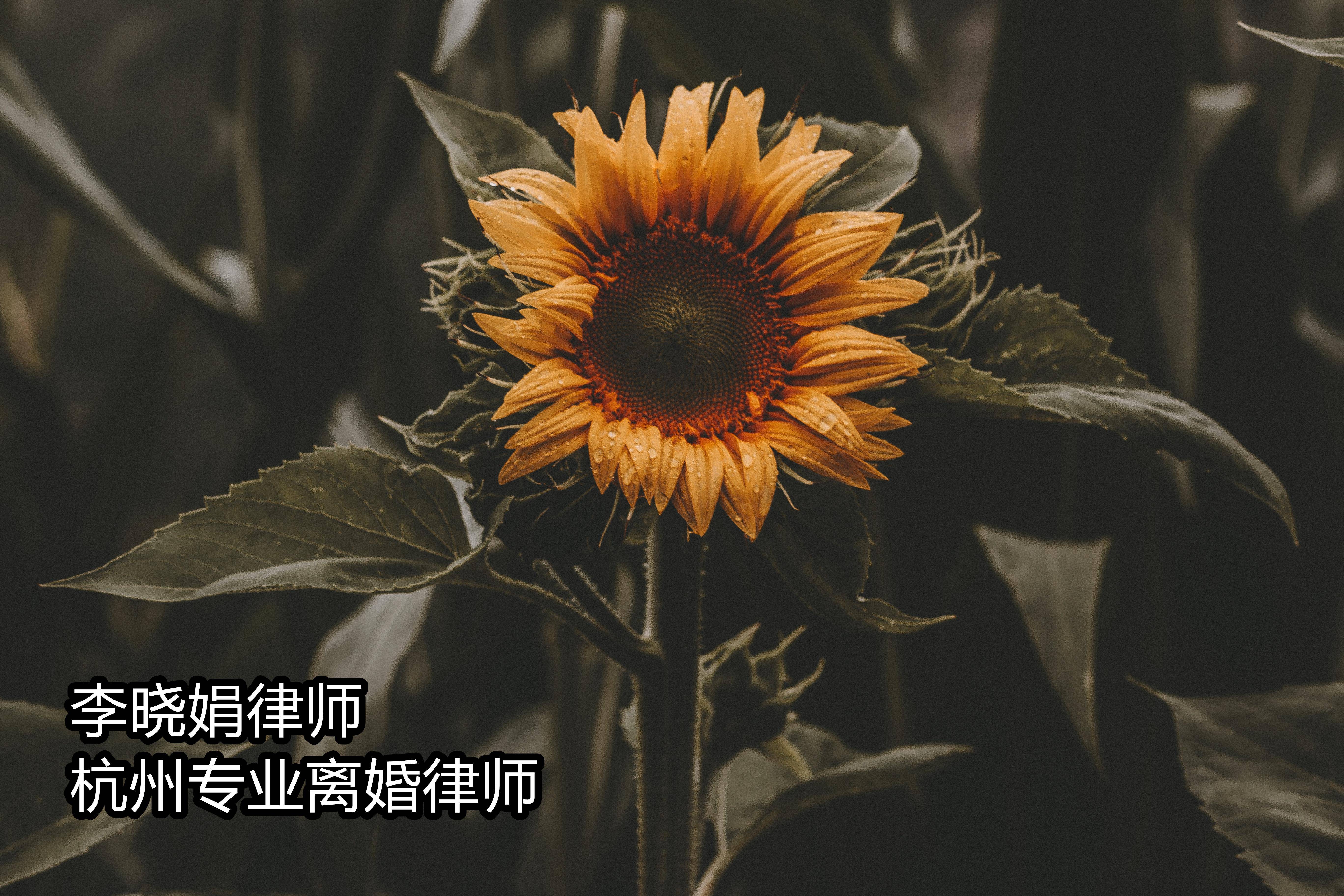 离婚冷静期一方不同意离婚怎么办（起诉离婚的详细流程）