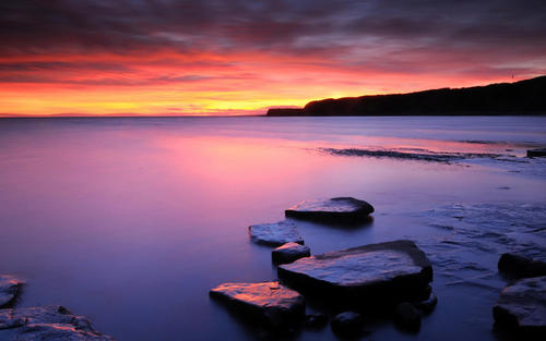 合作意向协议书范本（合作协议合同模板）