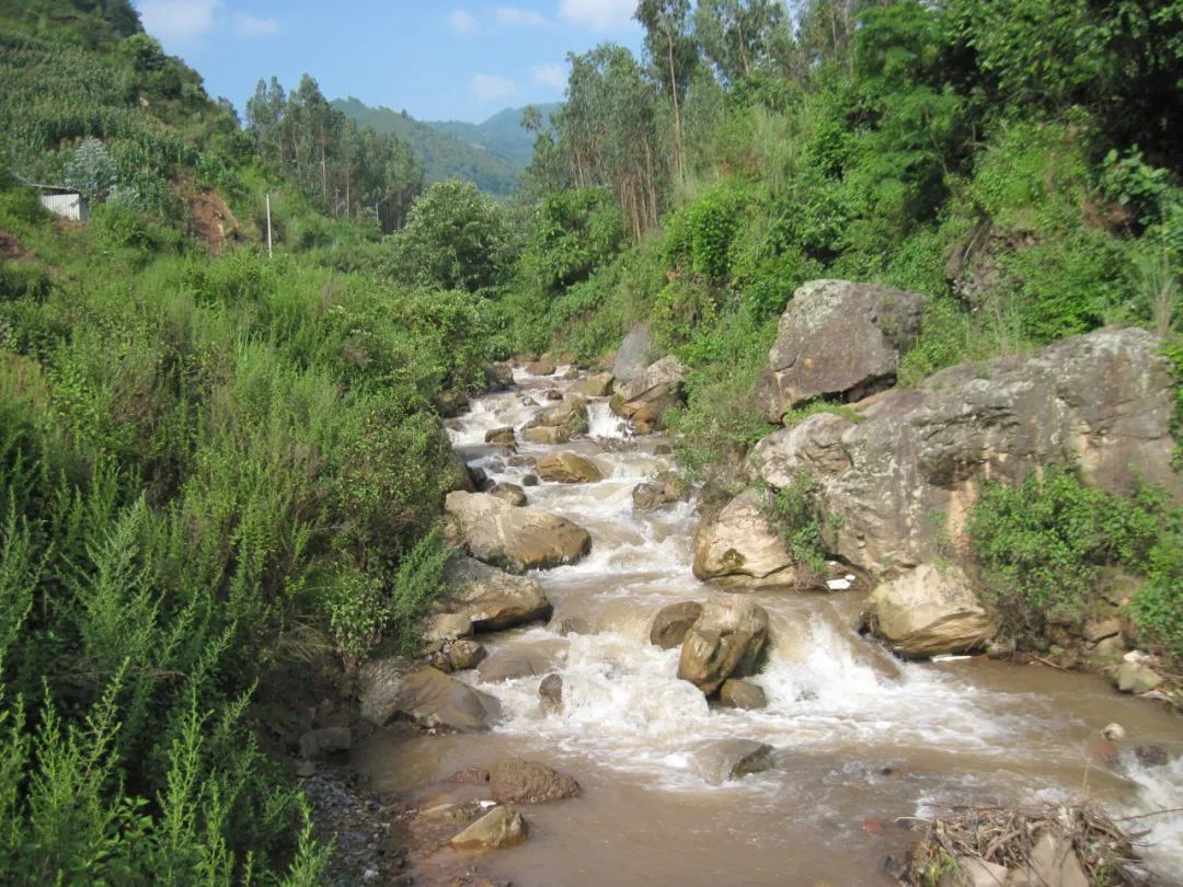 湿地保护条例有哪些（国家湿地保护管理条例）