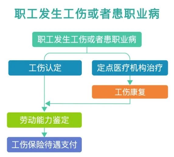 企业工伤保险条例全文（工伤认定标准及赔偿）
