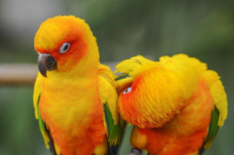 违法行为有哪些类型和处罚（一般违法行为举例讲解）