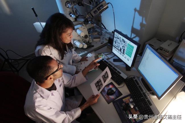 亲子鉴定收费多少钱（亲子鉴定有收费标准）