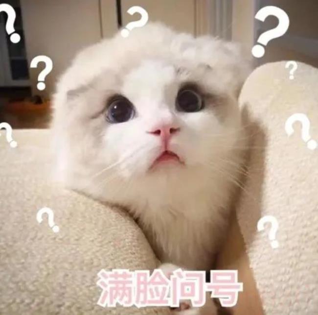 生育保险政策是什么（深圳生育保险最新规定）