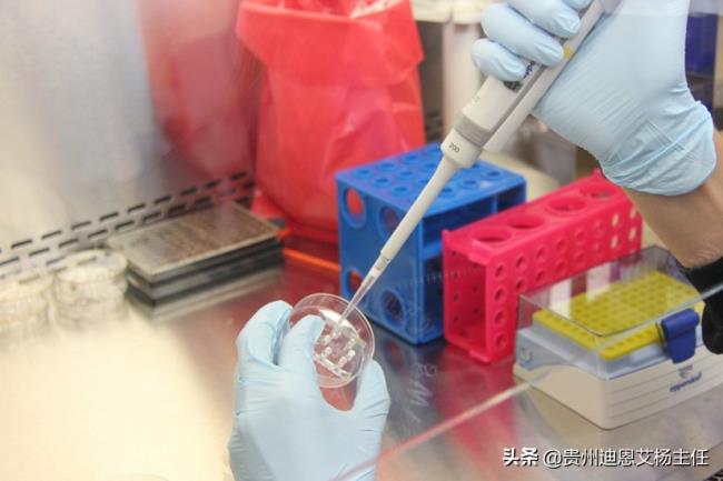 亲子鉴定收费多少钱（亲子鉴定有收费标准）