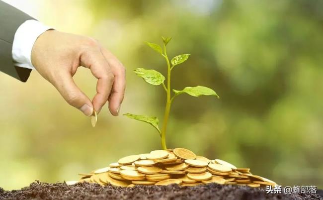 闲置土地属于什么资产（国有土地上房屋征收条例）