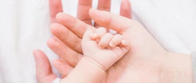 生育保险政策是什么（深圳生育保险最新规定）