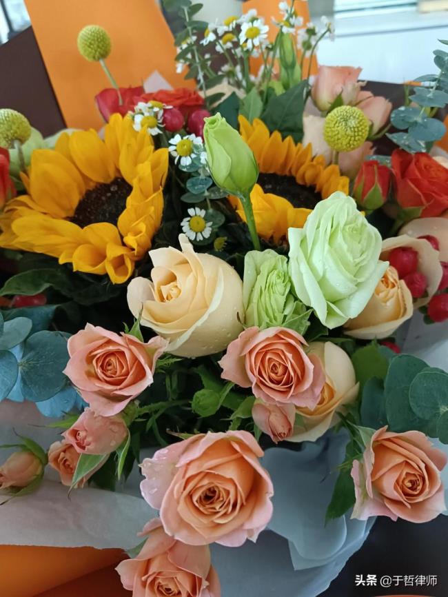 诉讼费什么时候交（2022年诉讼费收费标准）