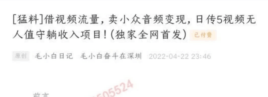 毛小白·借视频流量，卖小众音频变现，日传5视频无人值守躺赚项目