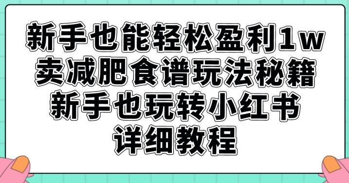 小白也能轻松盈利1W，卖减肥食谱玩法秘籍，新手也玩转小红书详细教程【揭秘】