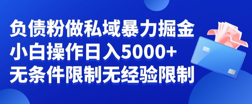 负债粉私域暴力掘金，新手操作入5000，无经验限制，无条件限制