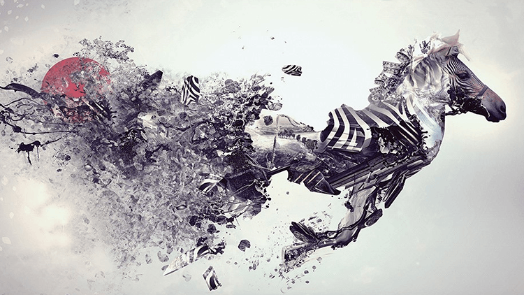 EDIUS Pro 7.5 edius入门到提高原创视频教程