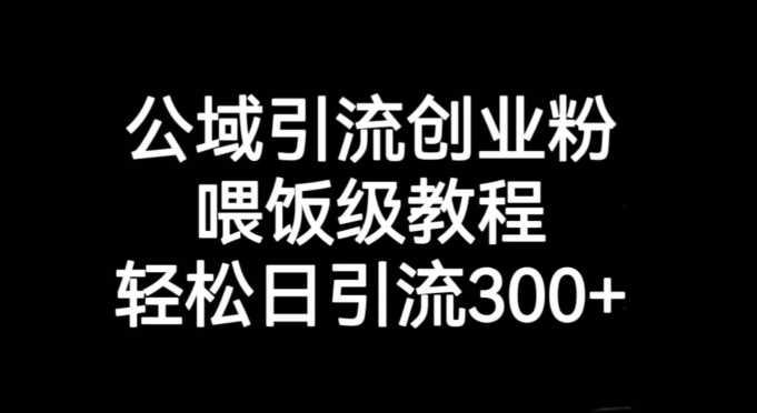 公域引流创业粉，喂饭级教程，轻松日引流300+【引流技巧】