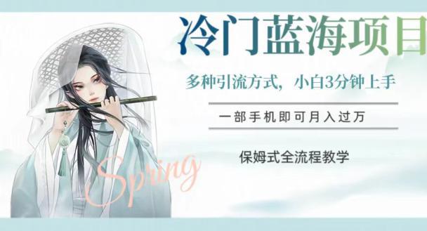 蓝海冷门项目，轻松操作，新手3分钟简单上手，多种引流策略，保姆式全流程教学【揭秘】
