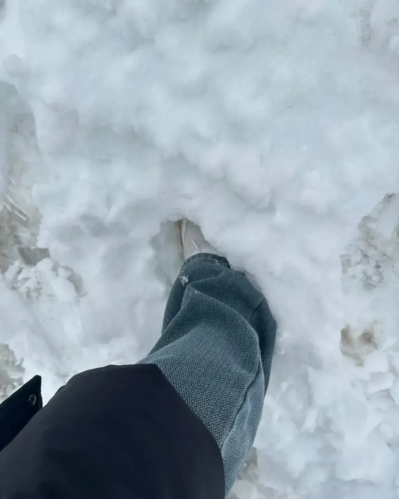 湖北大雪封路，被困高速车主：一家人上厕所成难题