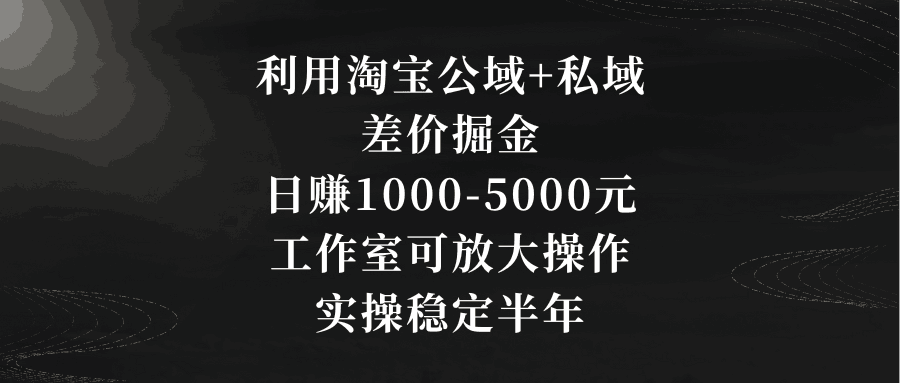 利用淘宝公域+私域差价掘金：日赚1000-5000元，工作室可放大操作，实操…