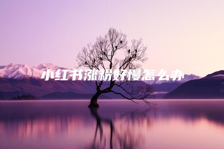 小红书反作弊机制解析：如何保护平台真实性与用户体验_小红书新号快速涨粉_ 小红书刷粉丝工具2025,小红书快速涨粉