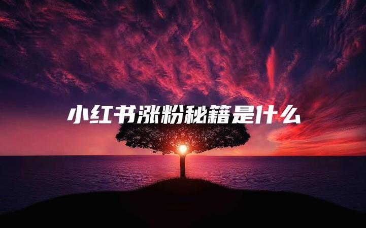 小红书粉丝裂变,小红书快速涨粉_小红书刷粉丝会封号吗？揭秘平台规则与安全涨粉策略_小红书新号快速涨粉