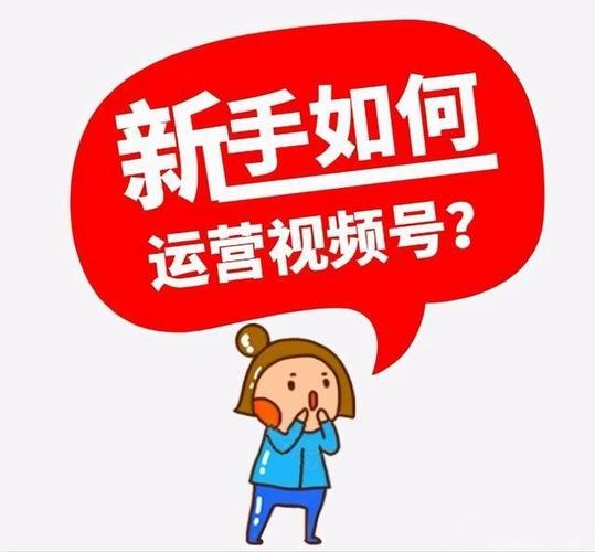 视频号如何快速涨粉1000：实用策略与案例解析-视频号增粉