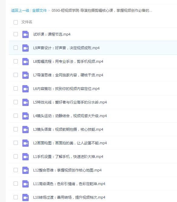 短视频学院·导演拍摄剪辑核心课，掌握视频创作必备的2大实战能力与底层思维