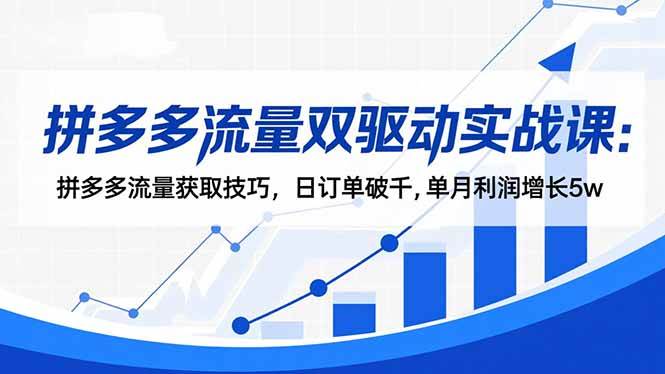 拼多多流量双驱动实战课：拼多多流量获取技巧，日订单破千,单月利润增长5w