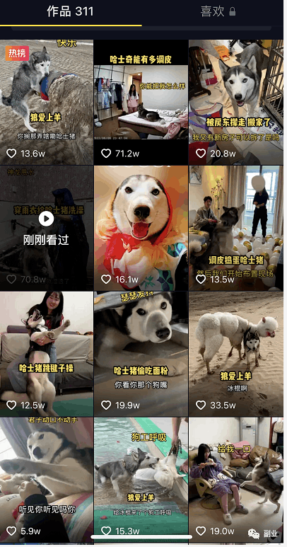 抖音快手卖猫咪狗狗项目，0成本空手套白狼副业，一分钱不花也能月入2万+