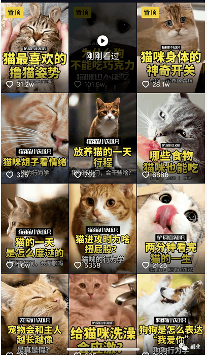 抖音快手卖猫咪狗狗项目，0成本空手套白狼副业，一分钱不花也能月入2万+