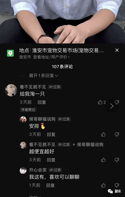 抖音快手卖猫咪狗狗项目，0成本空手套白狼副业，一分钱不花也能月入2万+