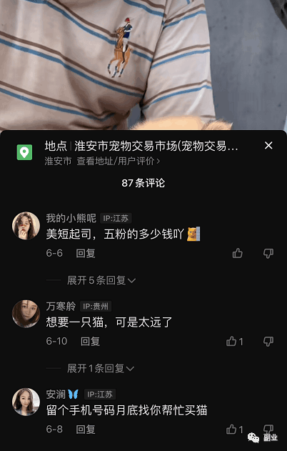 抖音快手卖猫咪狗狗项目，0成本空手套白狼副业，一分钱不花也能月入2万+