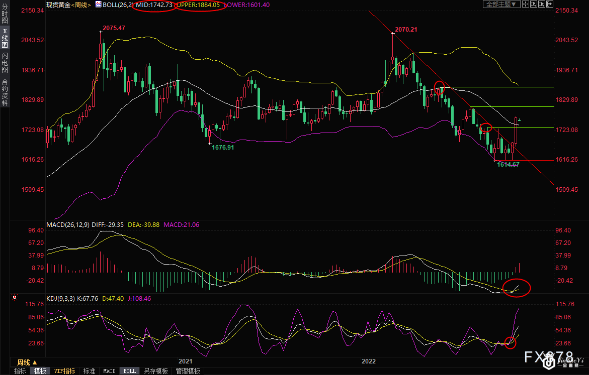 现货黄金短线交易策略：美联储理事“鹰”语惊人，空头迎反扑机会