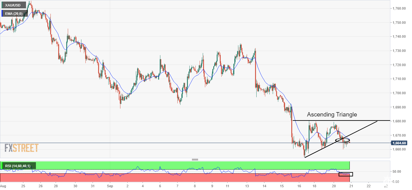 金价跌回1665！黄金刚反弹遇抛压横盘整理 “美联储鹰派押注飙升” 美元建关准备上行