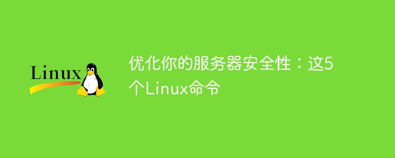 优化你的服务器安全性:这5个linux命令