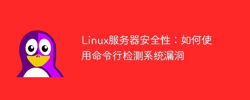 linux服务器安全性：如何使用命令行检测系统漏洞