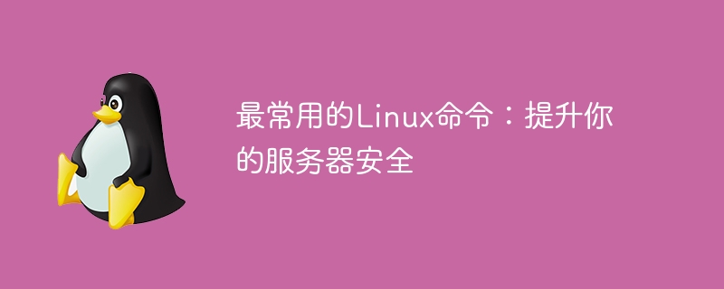 最常用的linux命令：提升你的服务器安全